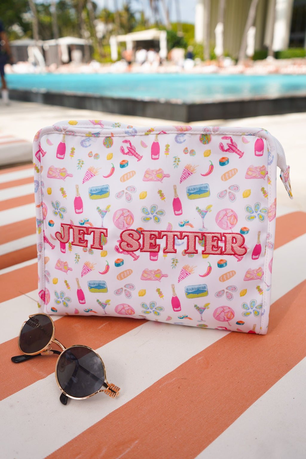 Jet Setter Travel Pouch