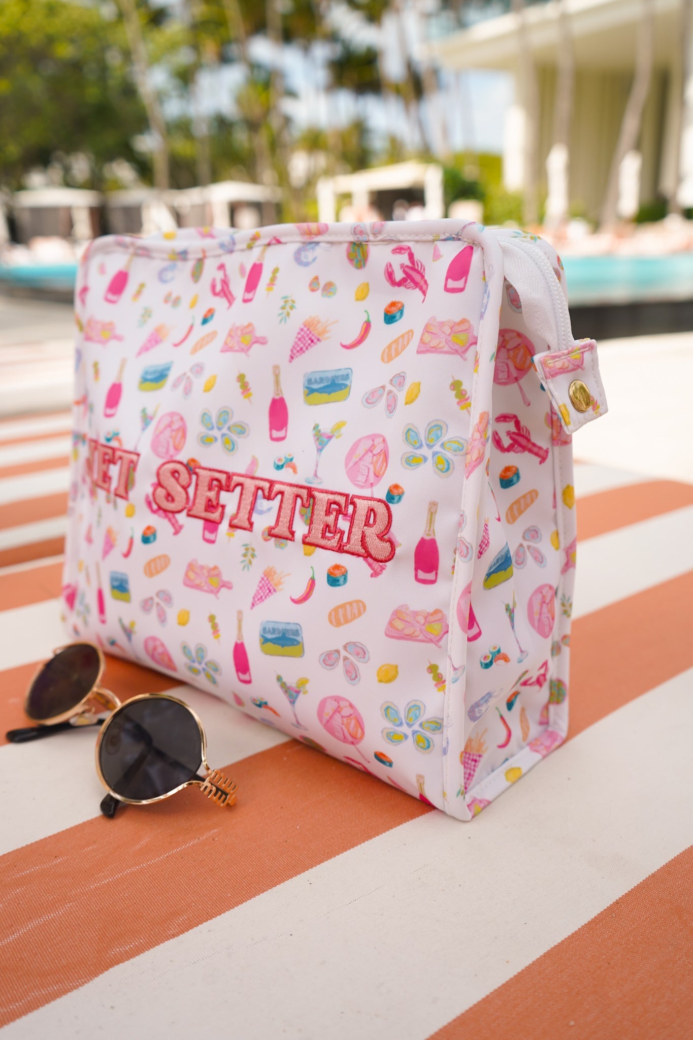 Jet Setter Travel Pouch