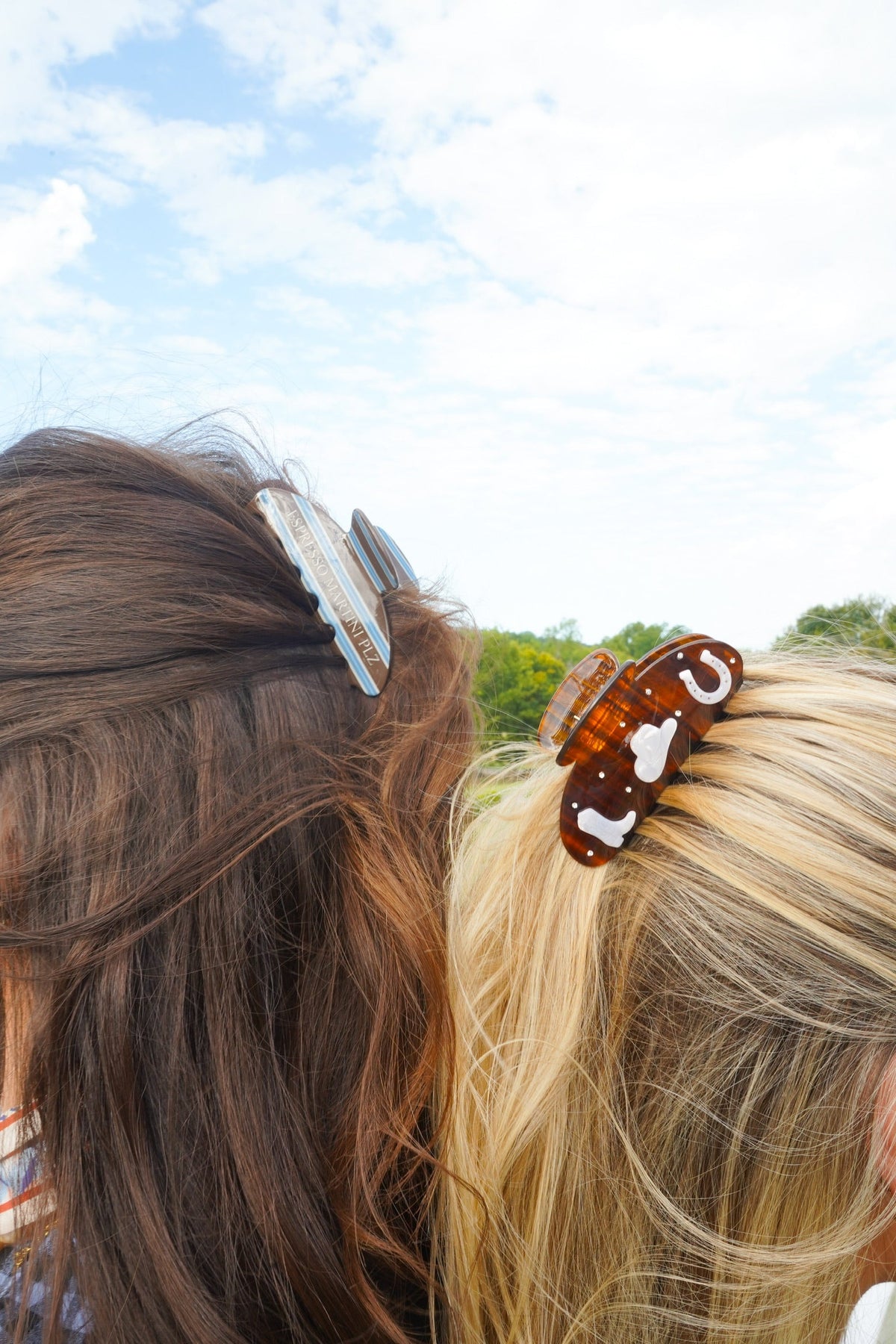 Hair Clips