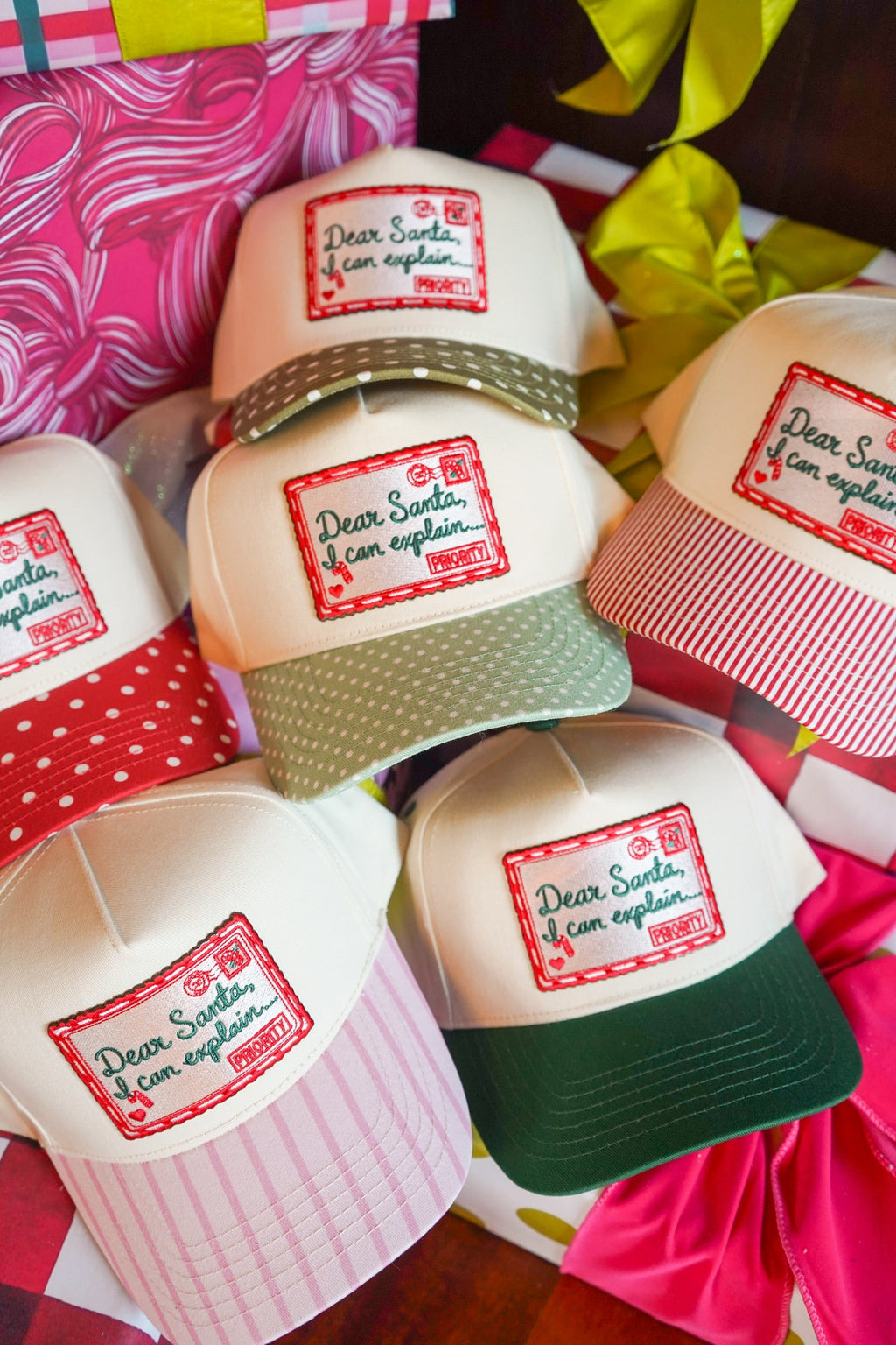 Dear Santa, I Can Explain Hat