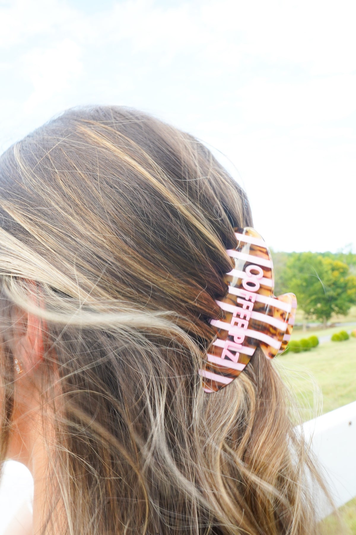 Hair Clips | Fall & Holiday