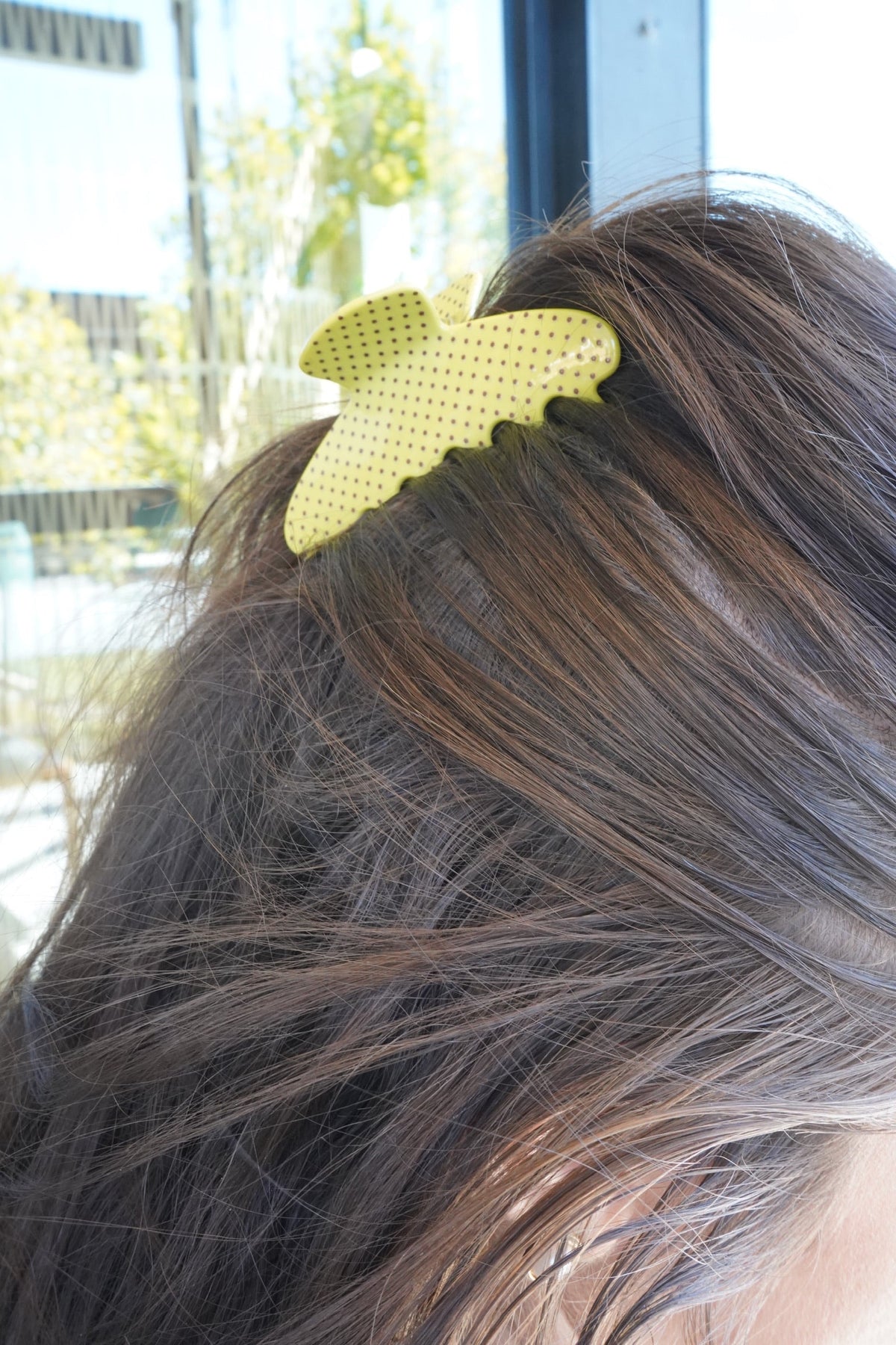 Classic Hair Clips